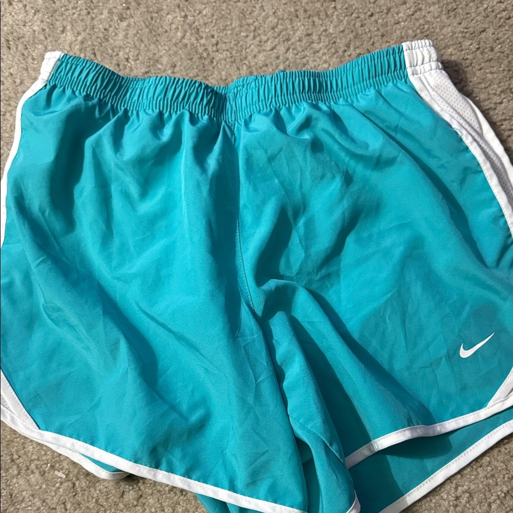 Nike Aqua Blue Running Shorts